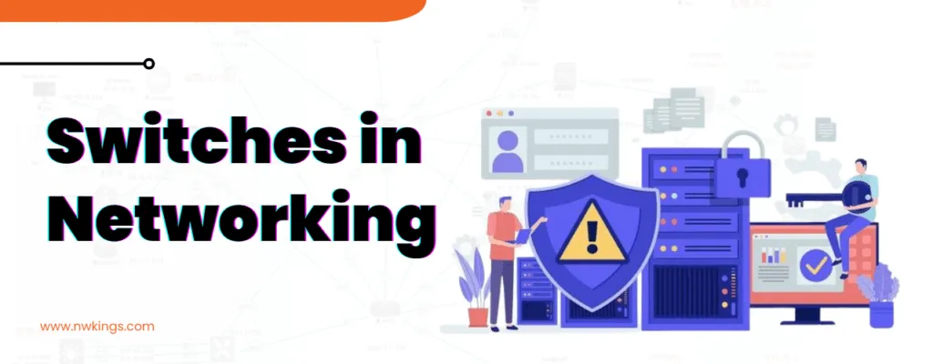 What are Switches in Networking?