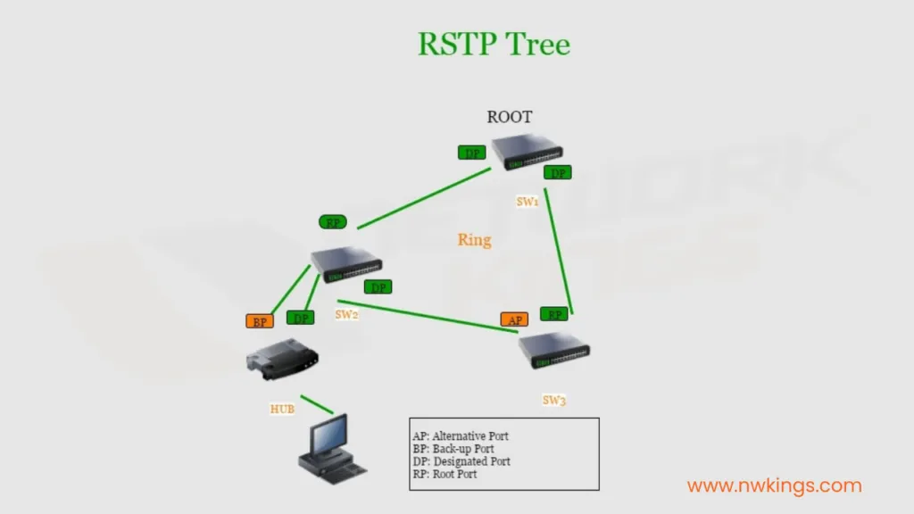 RSTP Protocol