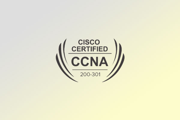 CCNA Course in pune​