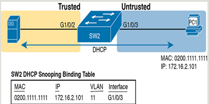 How DHCP Snooping works?
