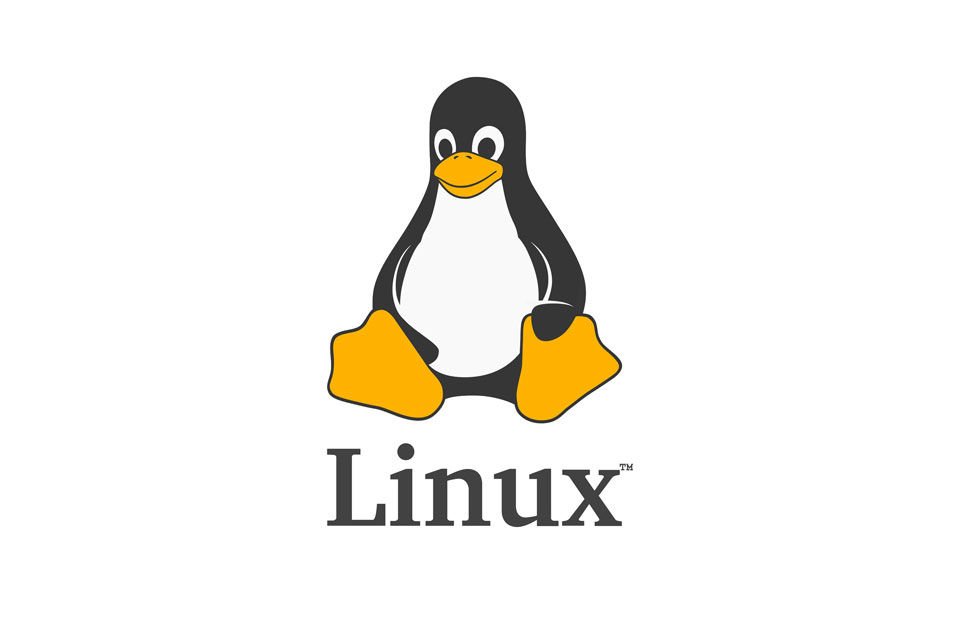 A penguin logo with the word linux, perfect for those seeking a job in the IT sector.