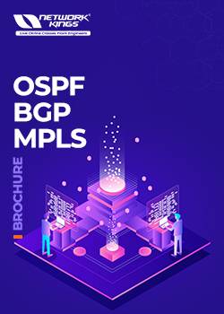 OSPF BGP MPLS course