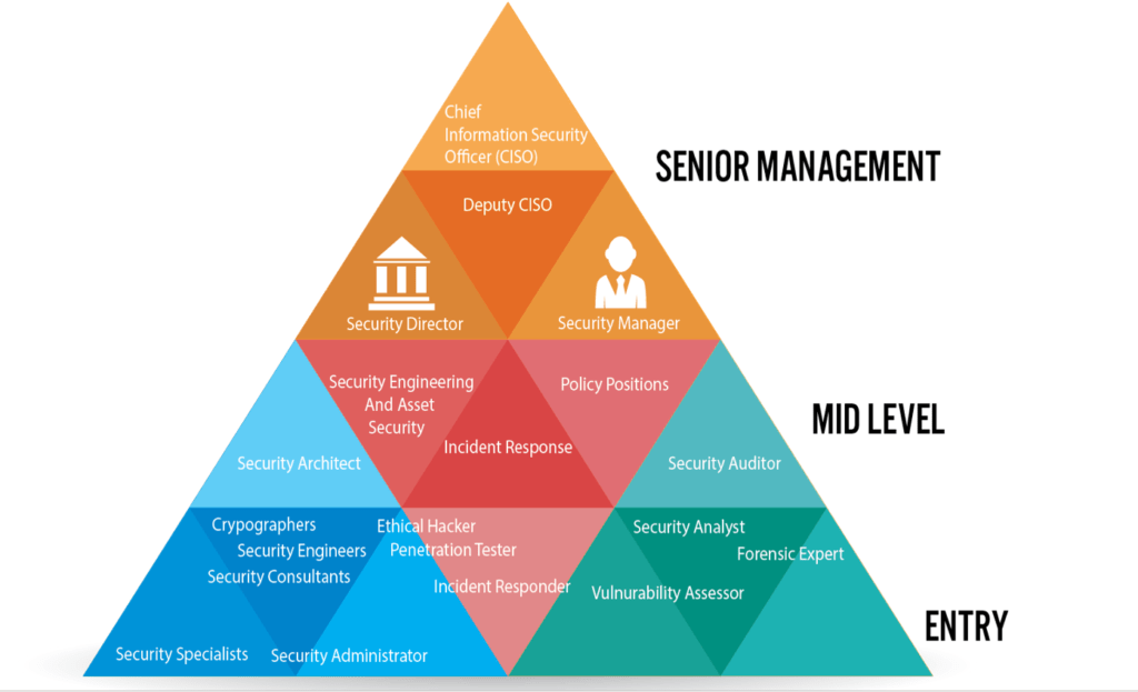 Senior management pyramid.