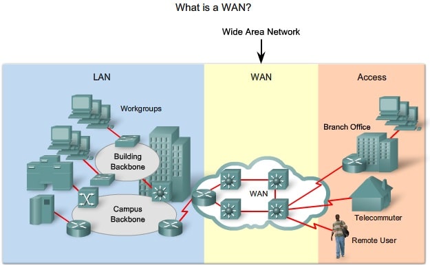 Network Topology Architectures