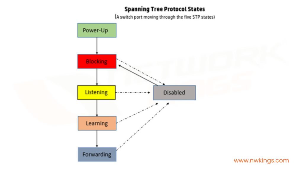 What is Spanning Tree Protocol?
