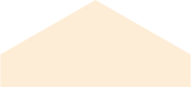 An orange triangle on a black background.