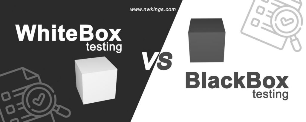 differences between Black and White Box Testing