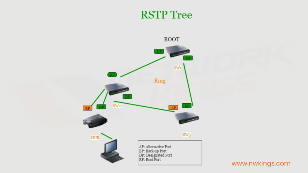 RSTP Tree