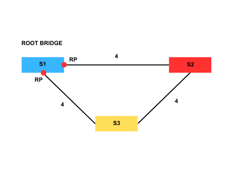 ROOT PORTS