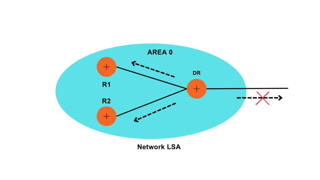 network lsa