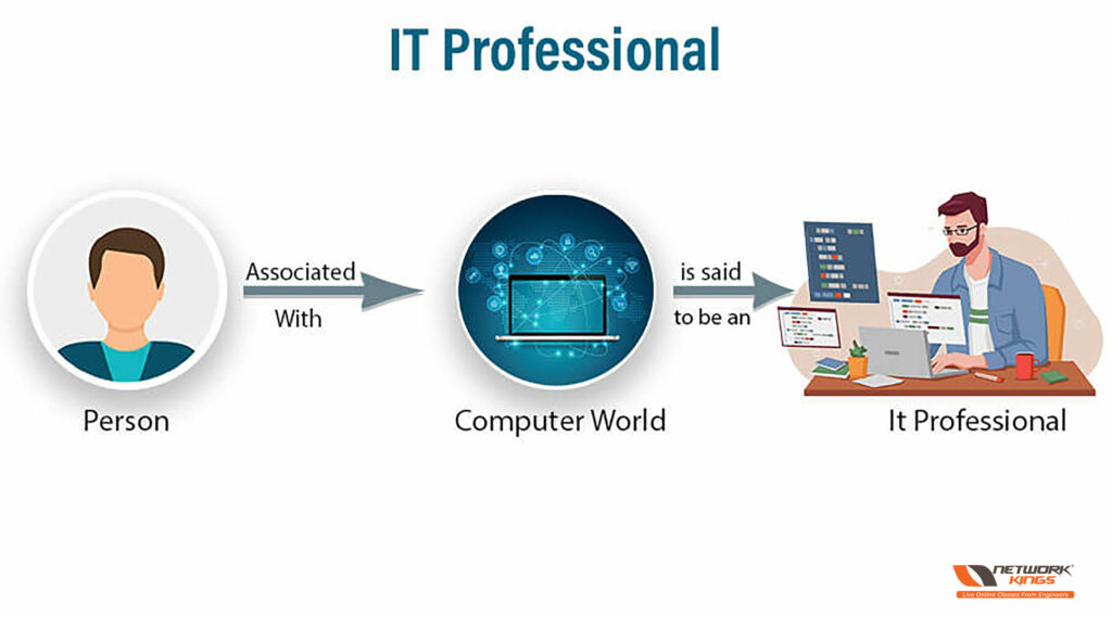 who is an it professional?