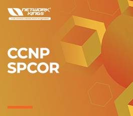 ccnp-spcor-img