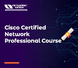 cisco-certified-professional-img